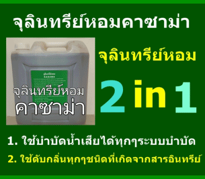 จุลินทรีย์บำบัดน้ำเสียที่มีกลิ่นหอม จุลินทรีย์ดับกลิ่นที่มีกลิ่นหอม เจ้าแรกของประเทศไทย