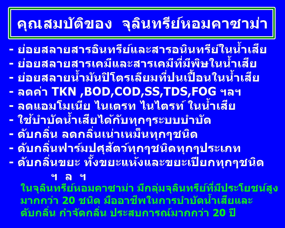 ԹҫФسѵ