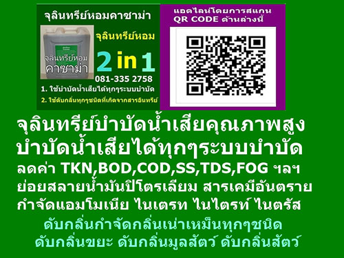 ԹҫФسѵ