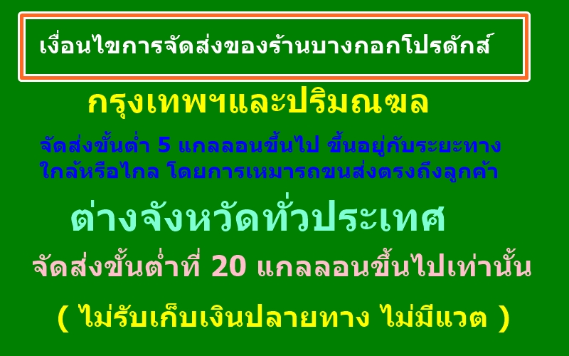 ԹҫФسѵ