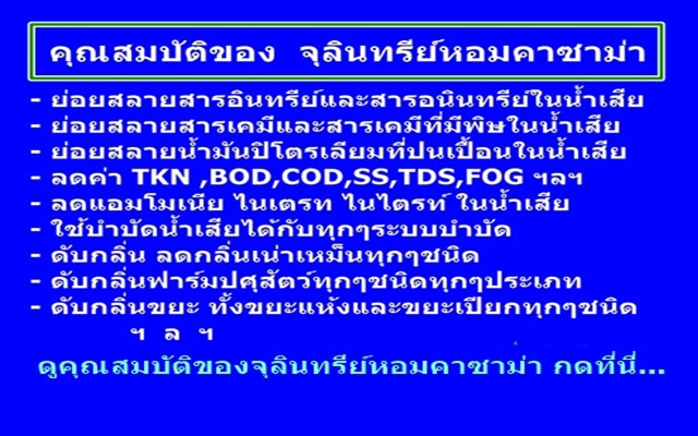 จุลินทรีย์หอมคาซาม่าและคุณสมบัติ จุลินทรีย์หอมคาซาม่าและคุณสมบัติ